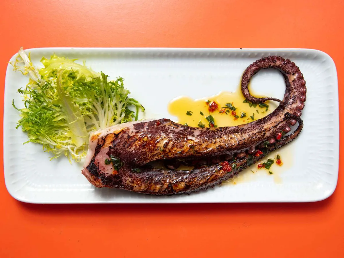 Octopus